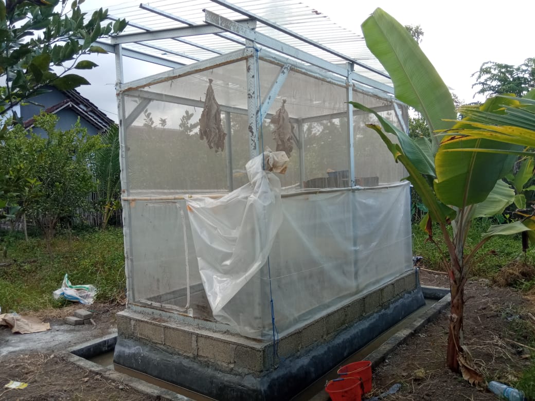 Tempat budidaya maggot yang terletak di Dusun Cawang, Benelan Kidul